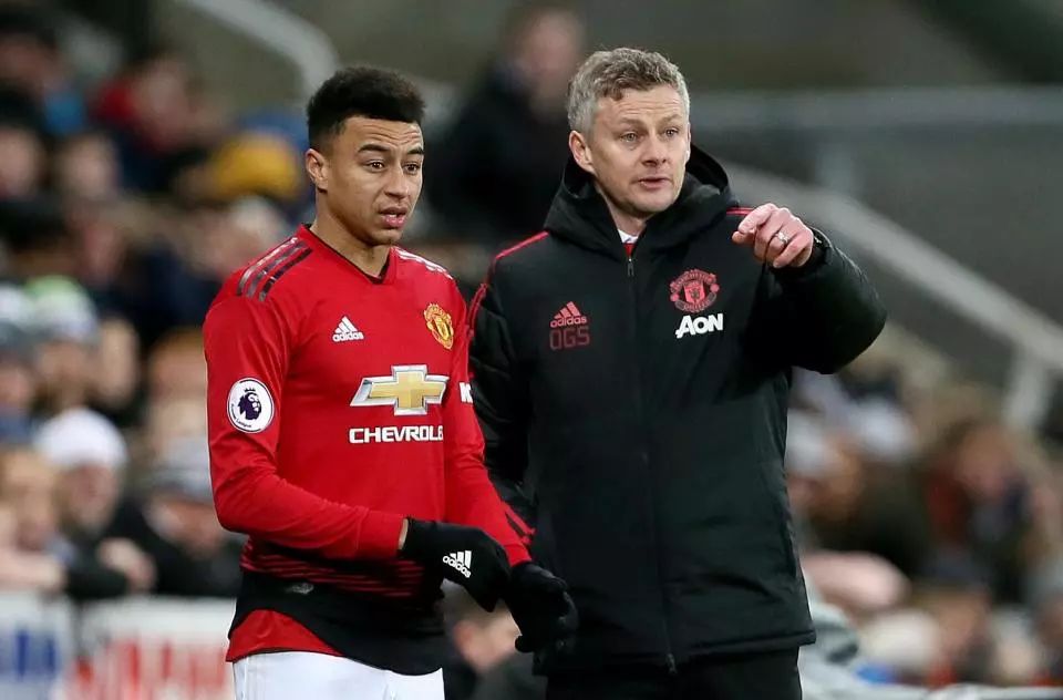 在追逐荣誉 在追逐荣誉